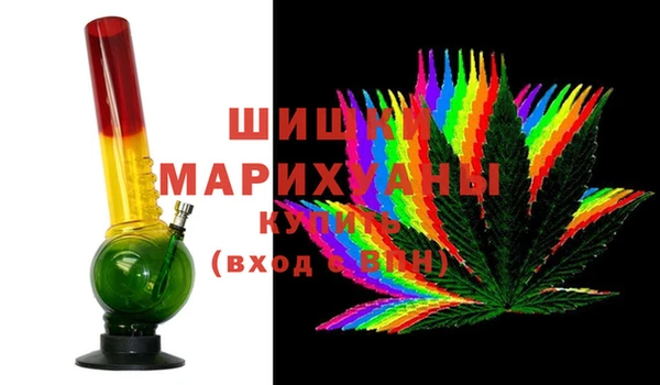 индика Козельск