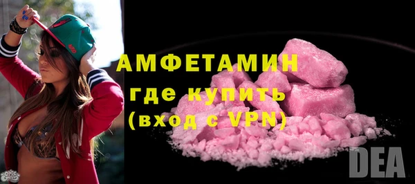 индика Козельск