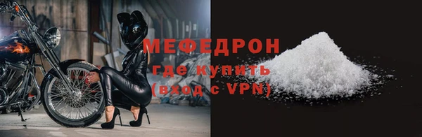 индика Козельск