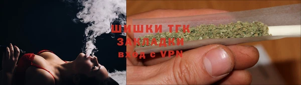 индика Козельск