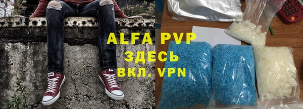 индика Козельск