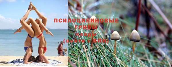 индика Козельск