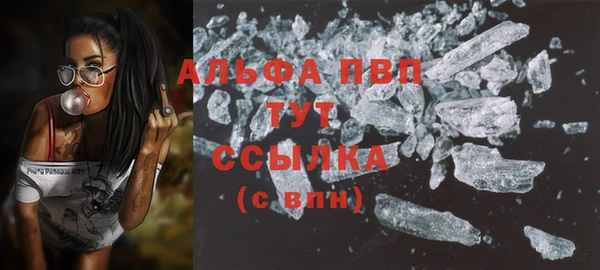 a pvp Коряжма