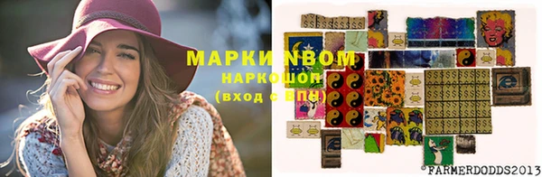 индика Козельск