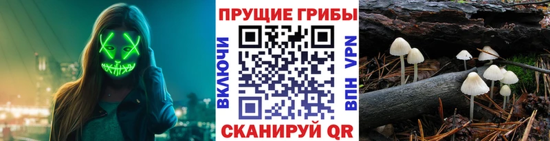Псилоцибиновые грибы GOLDEN TEACHER  Кологрив 